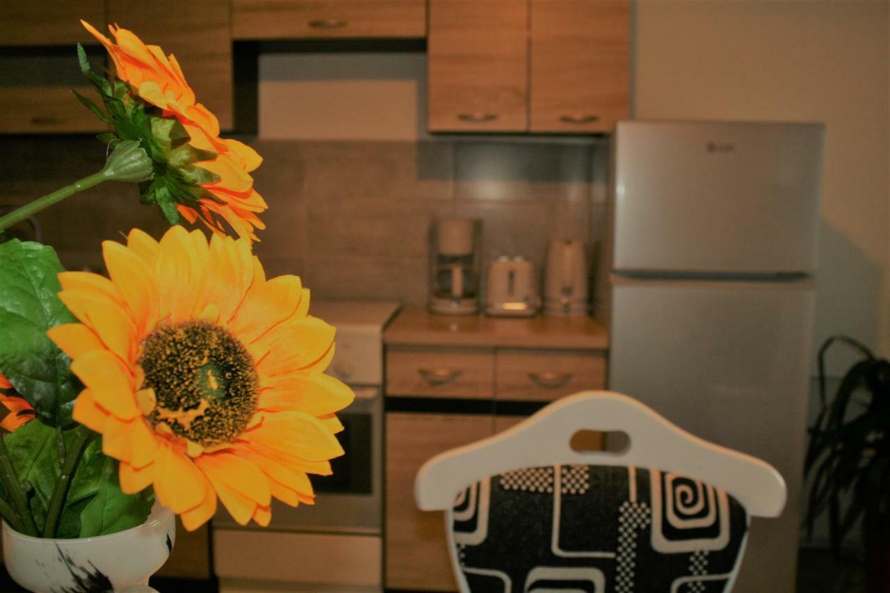 Casa Peterfi Apartment Targu-Mures Bagian luar foto